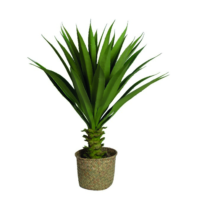 home-decor/artificial-plants-flowers/large-toothed-succulent-in-a-basket-pot-61cm