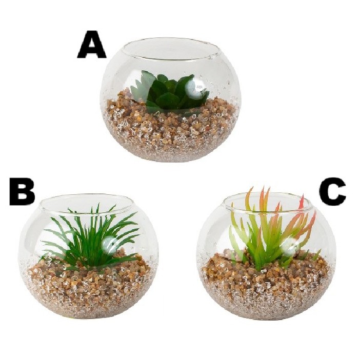 home-decor/artificial-plants-flowers/cactus-in-glass-bowl-8cm-3-assorted