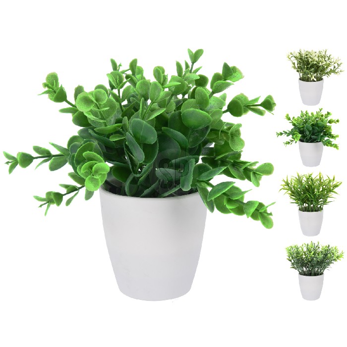 home-decor/artificial-plants-flowers/plant-in-white-round-pot-4-assorted
