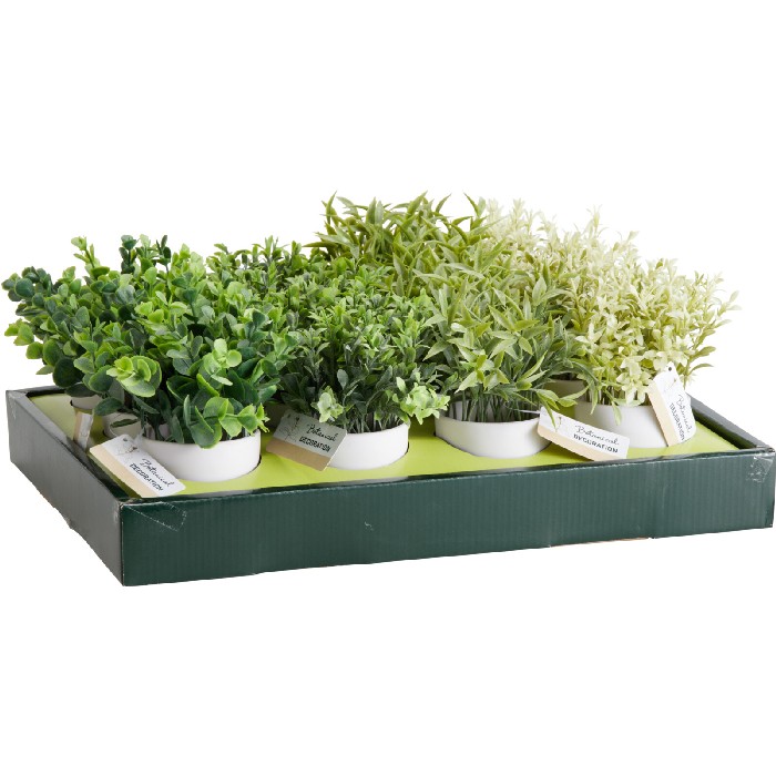 home-decor/artificial-plants-flowers/plant-in-white-round-pot-4-assorted