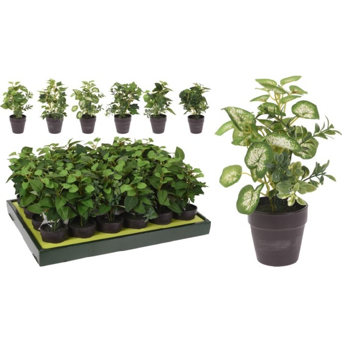 home-decor/artificial-plants-flowers/artificial-plant-in-black-pp-pot-20cm-6-assorted