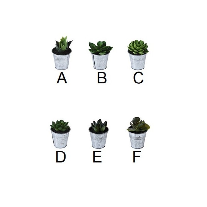 home-decor/artificial-plants-flowers/plant-in-zinc-pot-6-assorted-silver