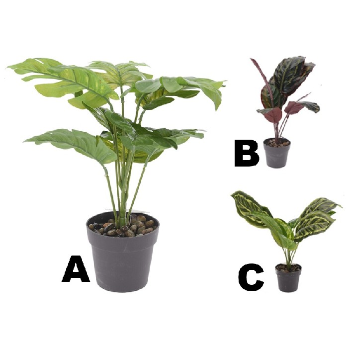home-decor/artificial-plants-flowers/artificial-plant-3-assorted-30cm