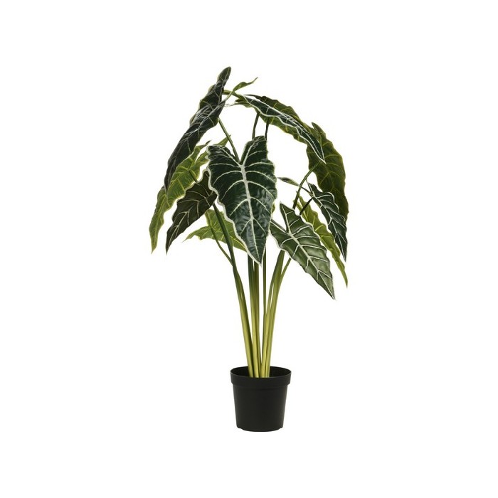 home-decor/artificial-plants-flowers/plant-alocasia-in-pp-pot-80cm-317221090
