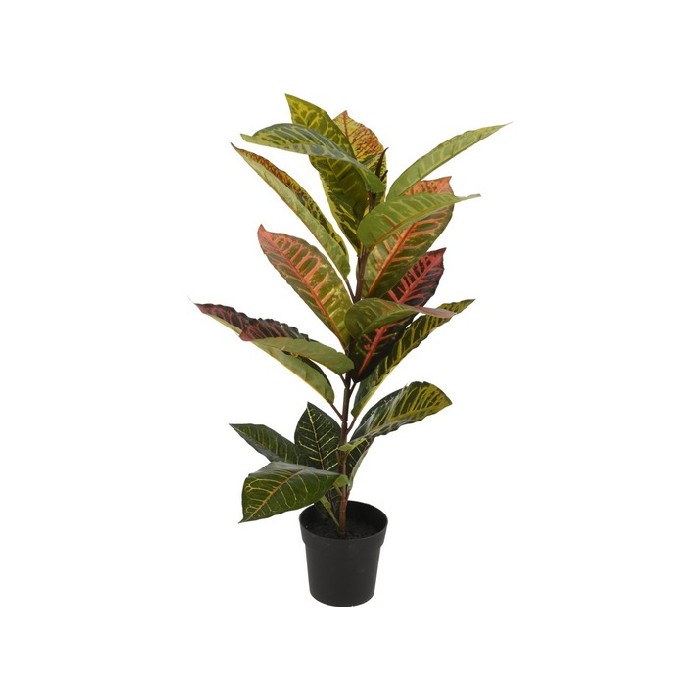 home-decor/artificial-plants-flowers/plant-calathea-in-pp-pot-65cm