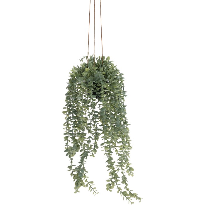 home-decor/artificial-plants-flowers/hang-plant-in-pp-pot-60cm