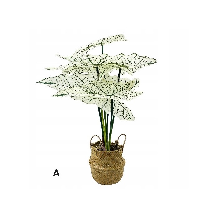 home-decor/artificial-plants-flowers/plant-alocasia-in-basket-51cm-3-assorted