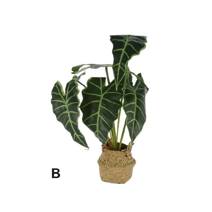 home-decor/artificial-plants-flowers/plant-alocasia-in-basket-51cm-3-assorted