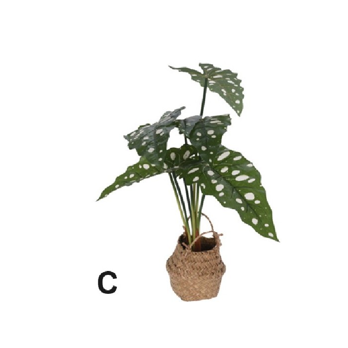 home-decor/artificial-plants-flowers/plant-alocasia-in-basket-51cm-3-assorted