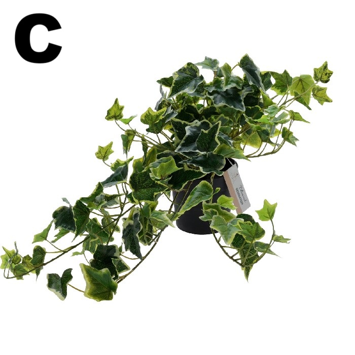 home-decor/artificial-plants-flowers/artificial-hanging-plant-in-pp-pot-80cm-3-assorted