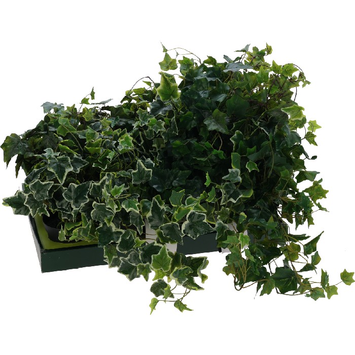 home-decor/artificial-plants-flowers/artificial-hanging-plant-in-pp-pot-80cm-3-assorted