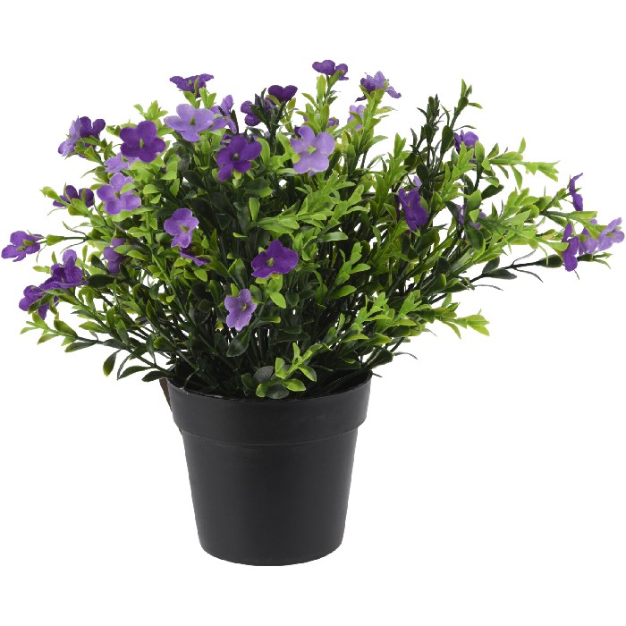 home-decor/artificial-plants-flowers/plant-in-pp-pot-–-4-assorted-designs