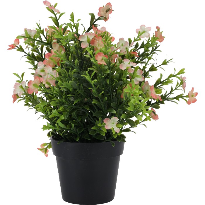 home-decor/artificial-plants-flowers/plant-in-pp-pot-–-4-assorted-designs
