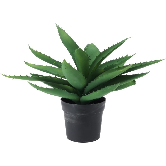 home-decor/artificial-plants-flowers/mini-aloe-plant-in-black-pot