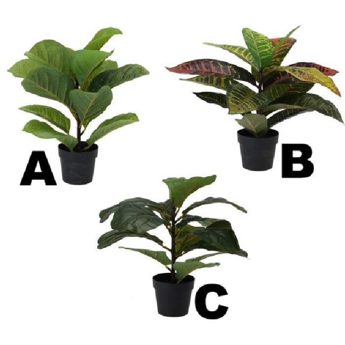 home-decor/artificial-plants-flowers/mini-tree-in-black-pot-3-assorted