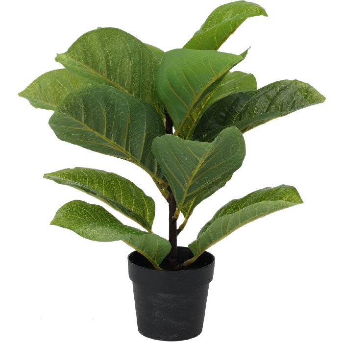 home-decor/artificial-plants-flowers/mini-tree-in-black-pot-3-assorted