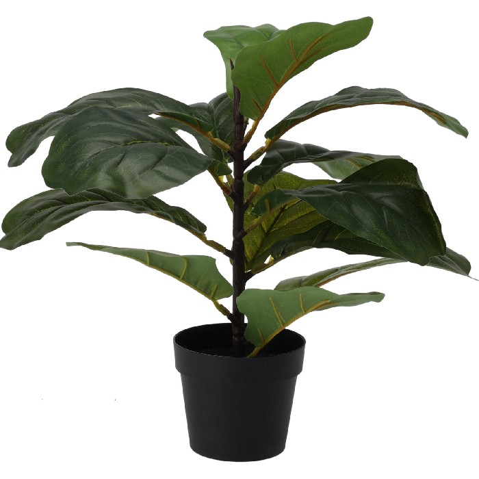 home-decor/artificial-plants-flowers/mini-tree-in-black-pot-3-assorted