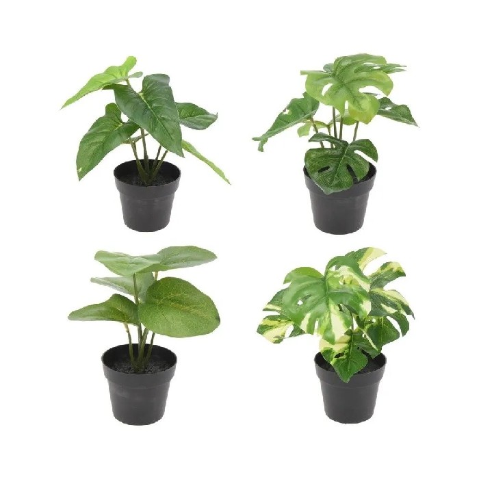 home-decor/artificial-plants-flowers/artificial-plant-in-black-pot-–-24cm-4-assorted