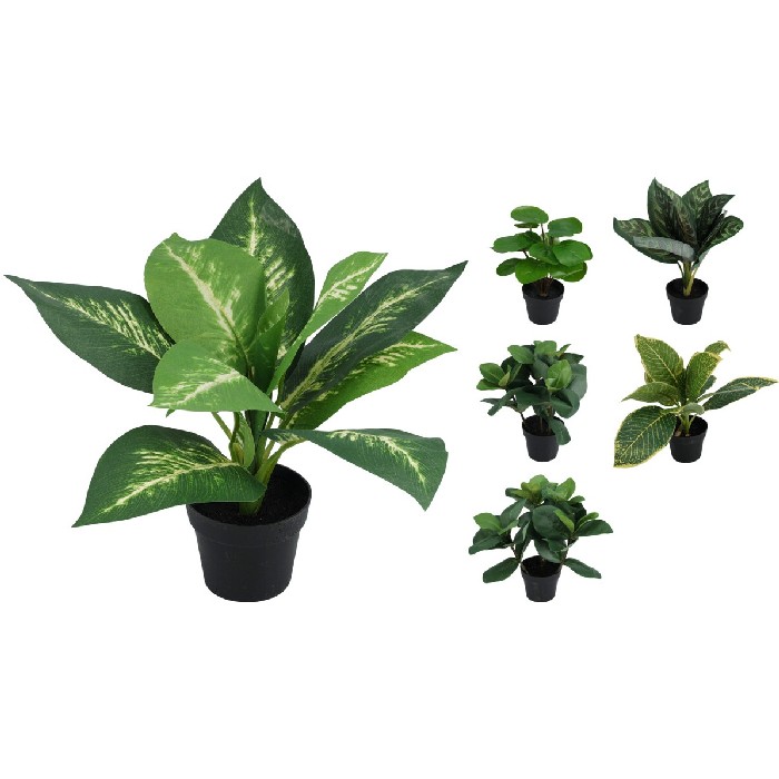 home-decor/artificial-plants-flowers/plants-in-pot-6-assorted