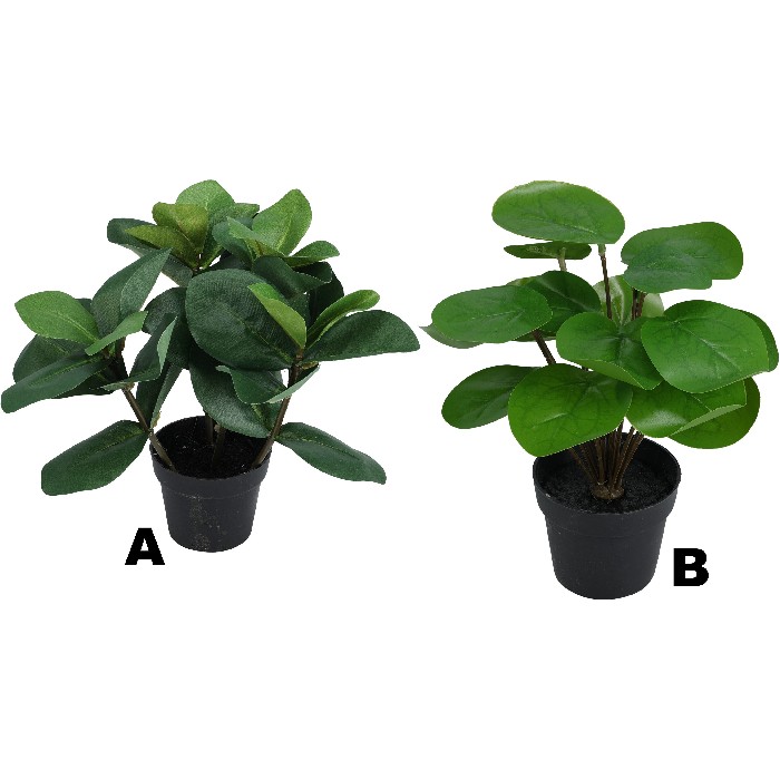 home-decor/artificial-plants-flowers/plants-in-pot-6-assorted