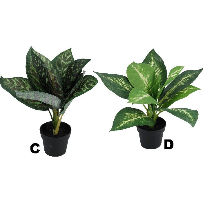 home-decor/artificial-plants-flowers/plants-in-pot-6-assorted