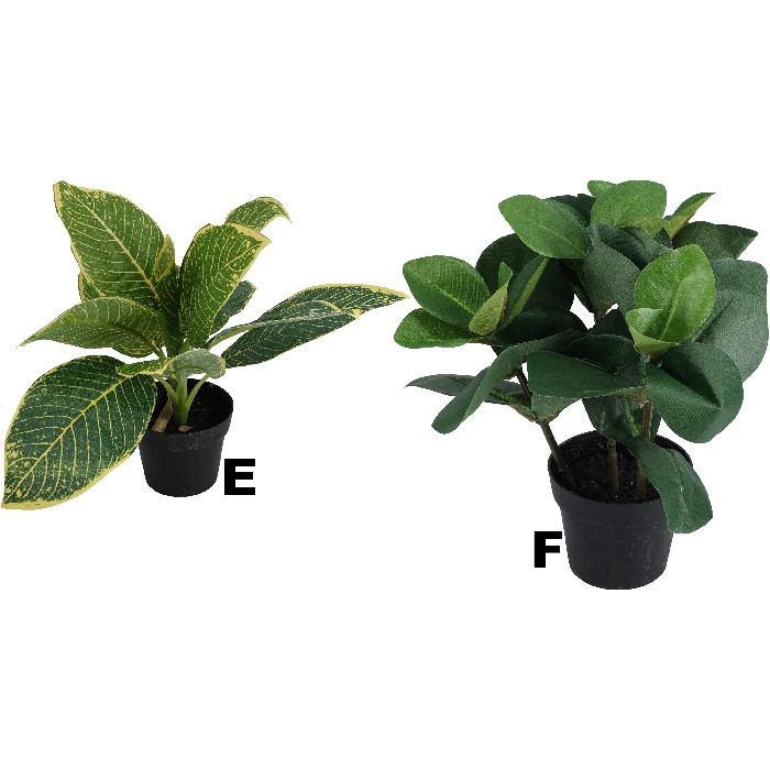 home-decor/artificial-plants-flowers/plants-in-pot-6-assorted