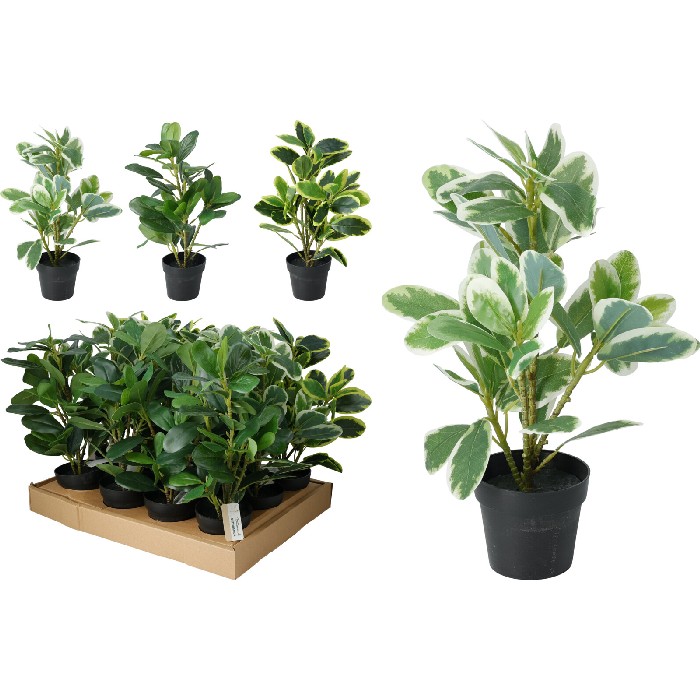 home-decor/artificial-plants-flowers/buxus-artificial-plant-in-black-pot-3-assorted