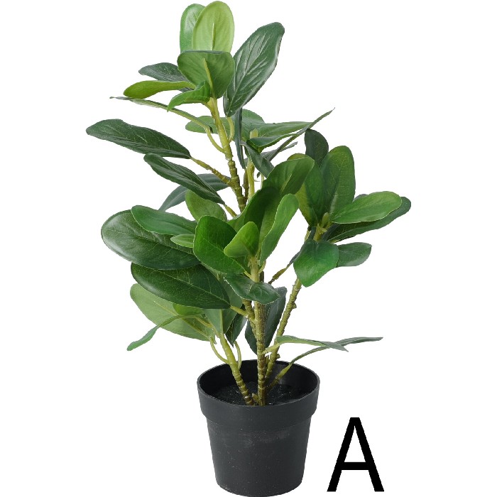 home-decor/artificial-plants-flowers/buxus-artificial-plant-in-black-pot-3-assorted