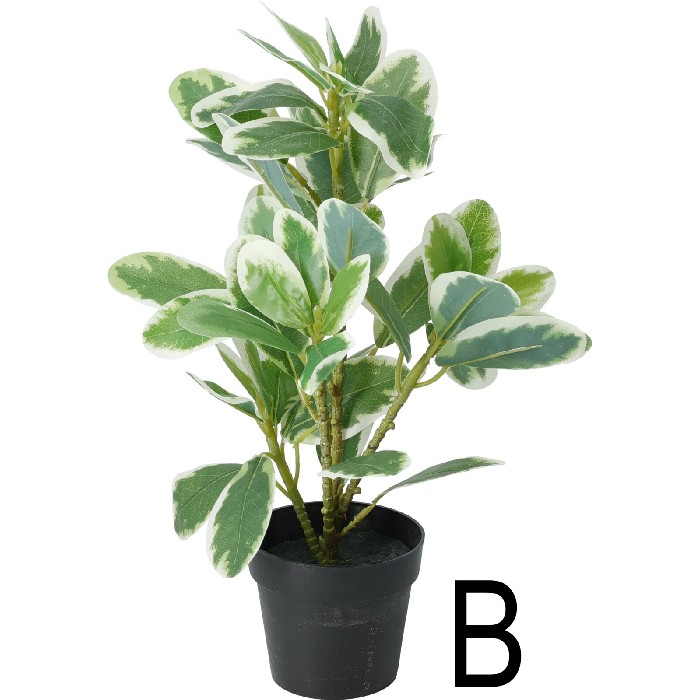 home-decor/artificial-plants-flowers/buxus-artificial-plant-in-black-pot-3-assorted