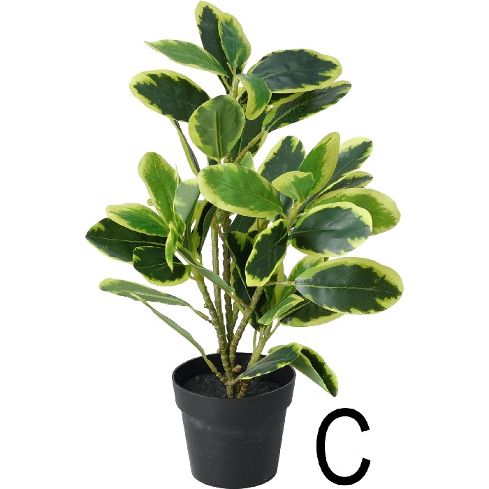 home-decor/artificial-plants-flowers/buxus-artificial-plant-in-black-pot-3-assorted