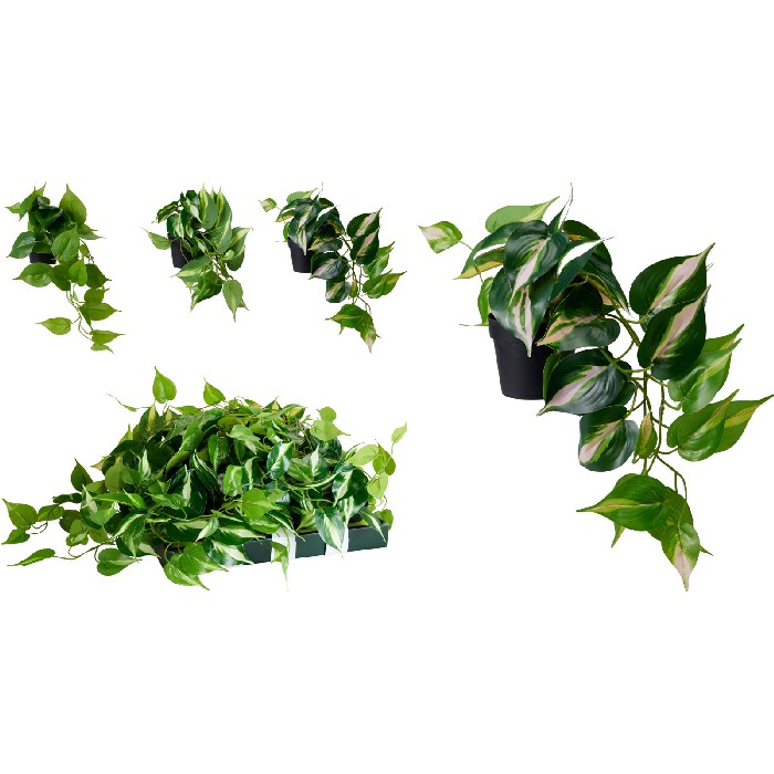 home-decor/artificial-plants-flowers/artificial-plant-in-pot-3-assorted