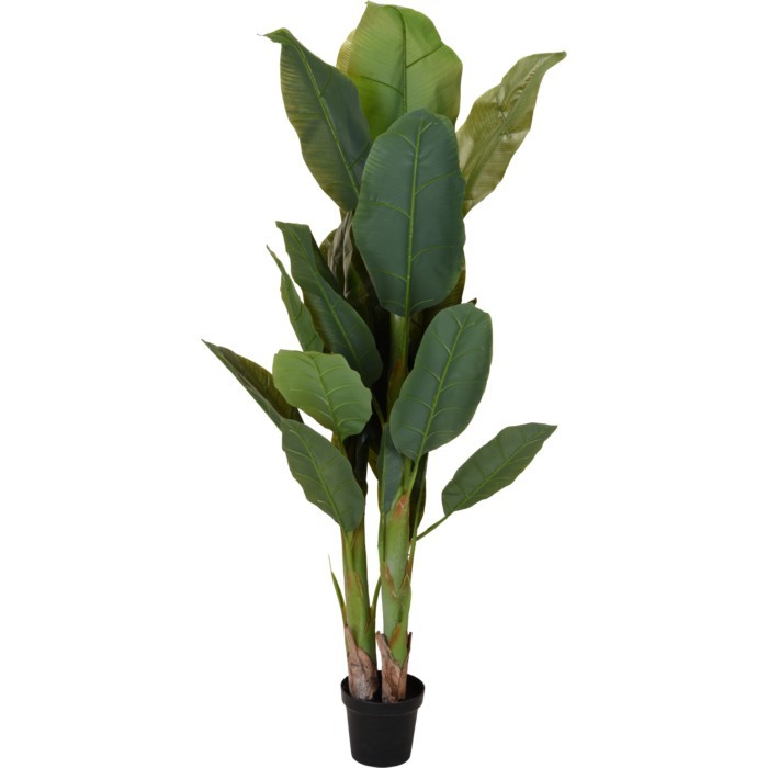 home-decor/artificial-plants-flowers/artificial-plant-in-pot-165cm