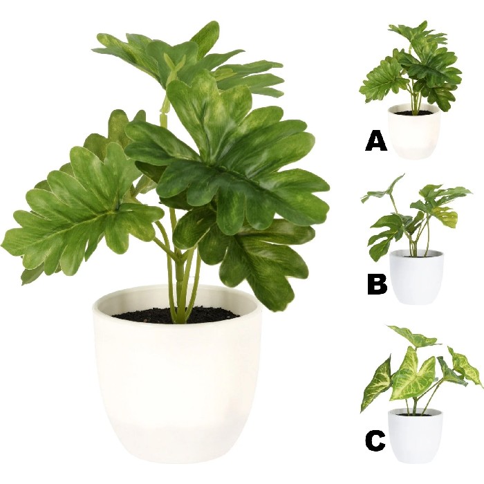 home-decor/artificial-plants-flowers/artificial-plant-h15cm-3-assorted