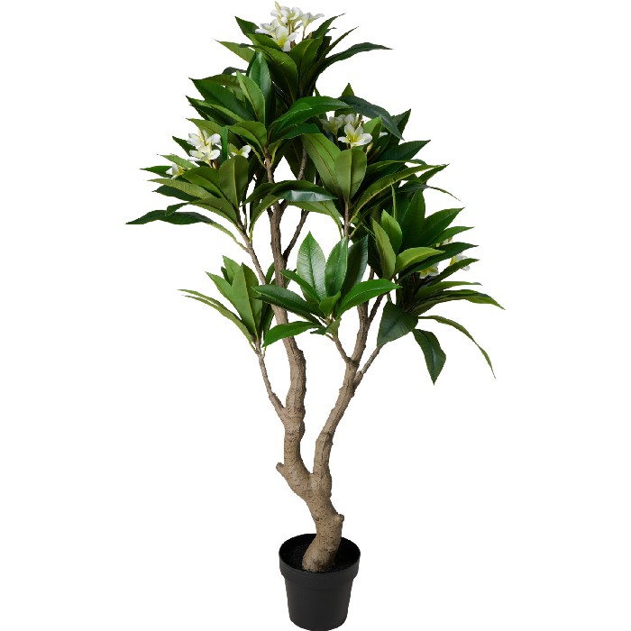 home-decor/artificial-plants-flowers/artificial-frangipani-tree-in-pot-150cm