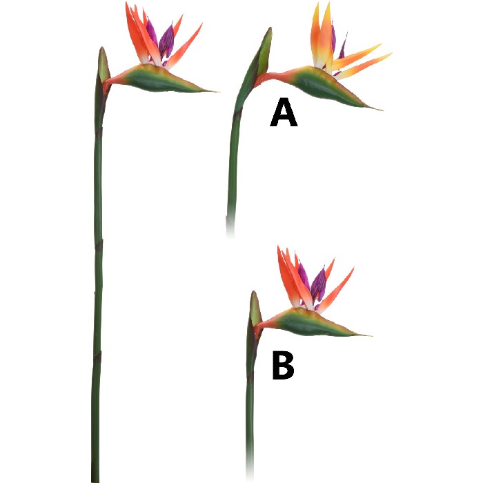 home-decor/artificial-plants-flowers/paradise-flower-80cm-2-assorted