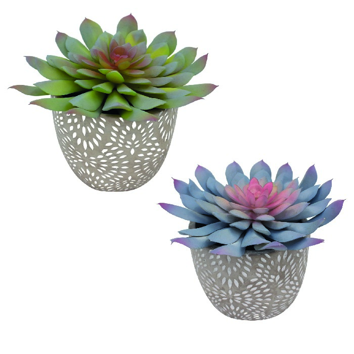 home-decor/artificial-plants-flowers/succulent-pot-13cm-2-assorted