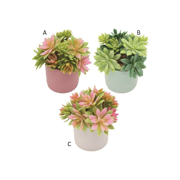 home-decor/artificial-plants-flowers/succulent-pot-185cm-3-assorted-colours