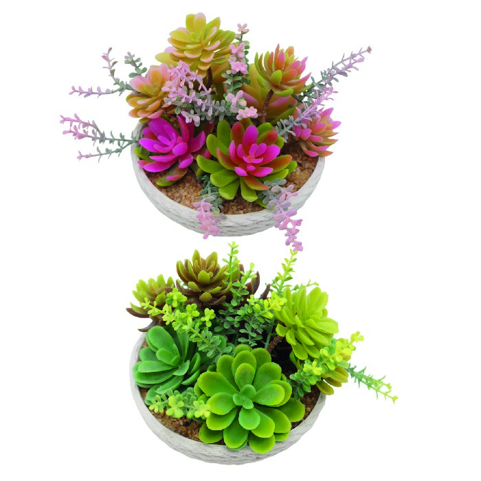 home-decor/artificial-plants-flowers/succulent-arrangement-in-a-rope-effect-pot-12cm-2-asstorted