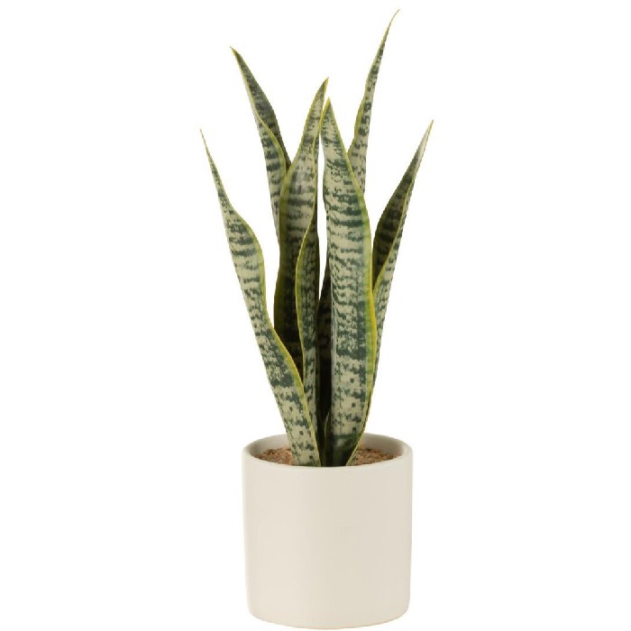 home-decor/artificial-plants-flowers/plant-sansevieria-in-pot-pvc-green-small