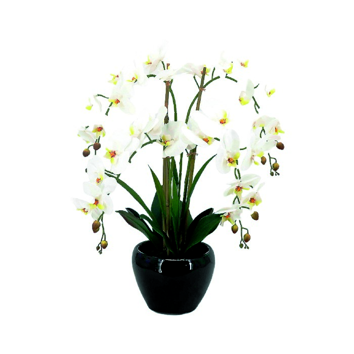 home-decor/artificial-plants-flowers/white-orchid-ceramic-pot-635cm