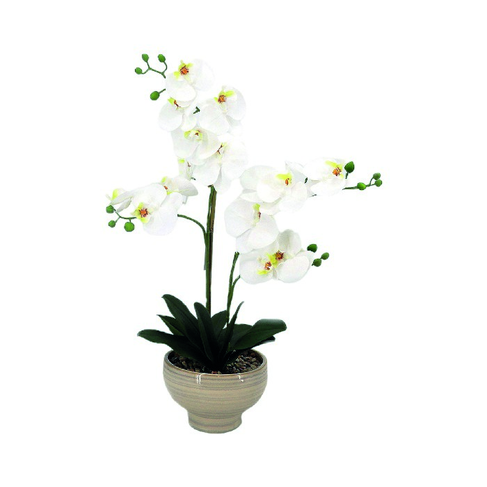 home-decor/artificial-plants-flowers/white-orchid-ceramic-pot-635cm-33777