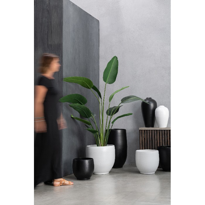home-decor/indoor-pots-plant-stands/ying-ceramic-flowerpot-white-medium