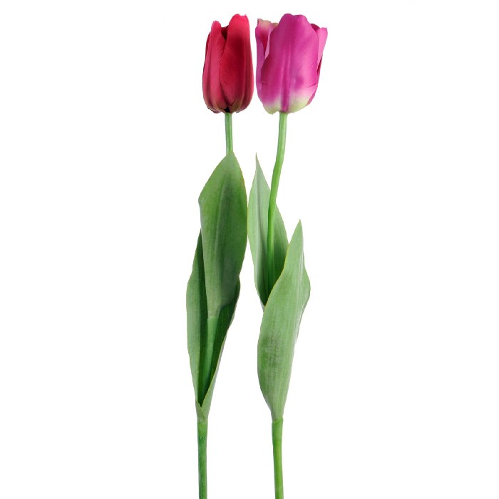 home-decor/artificial-plants-flowers/tulip-elisa-wine-pinkpink-assortment-of-2