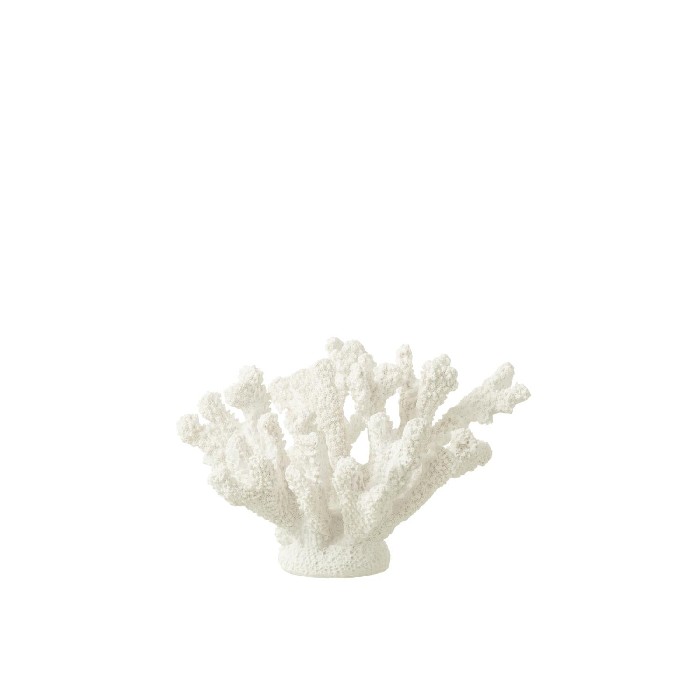 home-decor/decorative-ornaments/coral-polyresin-white-medium