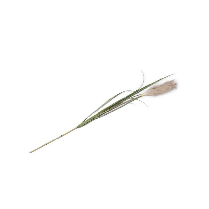 home-decor/artificial-plants-flowers/promo-coco-maison-pampus-grass-artificial-flower-h120cm