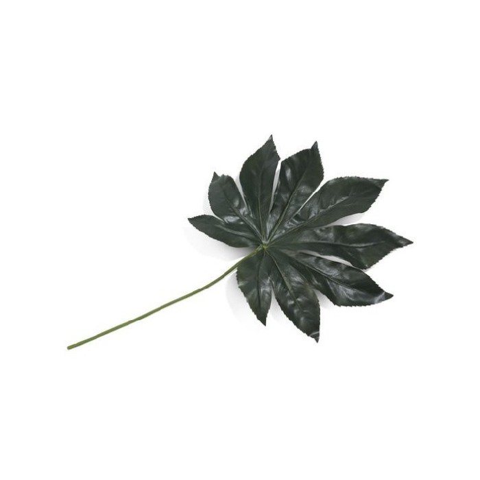 home-decor/artificial-plants-flowers/promo-fatsia-leaf-h55cm