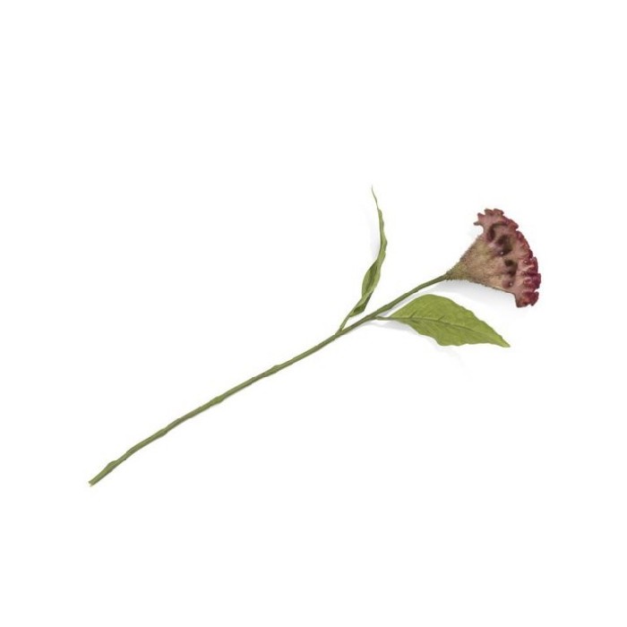 home-decor/artificial-plants-flowers/promo-celosia-spray-h62cm