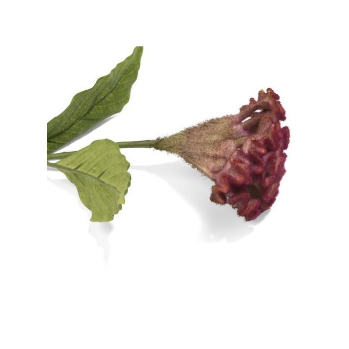 home-decor/artificial-plants-flowers/promo-celosia-spray-h62cm