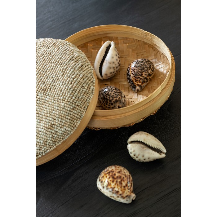 home-decor/decorative-ornaments/set-of-14-shells-tiger-shell-natural