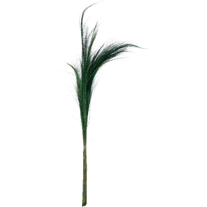 home-decor/artificial-plants-flowers/coloured-grass-bundle-set-of-15-green